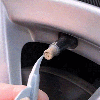 Radium Valve Tyre Caps For Car (8 Pcs)